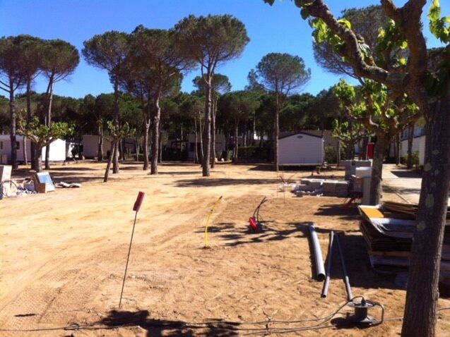 mobil-home dans les pins, terrain boisé