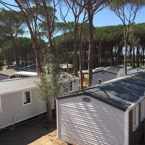 mobil-home dans les pins, terrain boisé