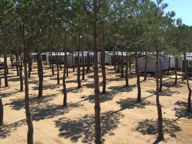 mobil-home dans les pins, terrain boisé