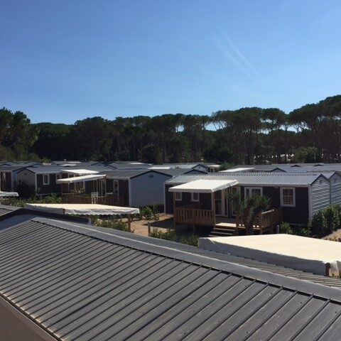 mobil-home dans les pins